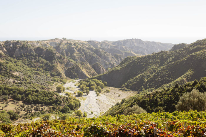 wine trekking